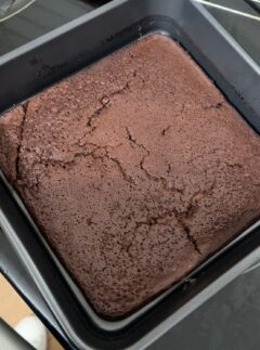 Protein Brownies 455 Calories Whole Pan!